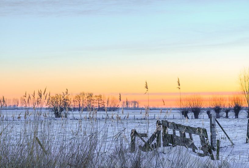 winter orange sky by Tania Perneel