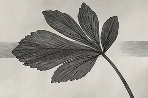Abstraktes schwarzes Blatt