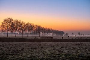 Lever de soleil Zoeterwoude 1