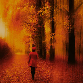 Der Herbst bricht herein – Niederlande