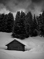 dark snowy skies