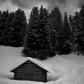dunkler Schneehimmel von Martin Noteboom