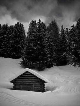 dark snowy skies van Martin Noteboom