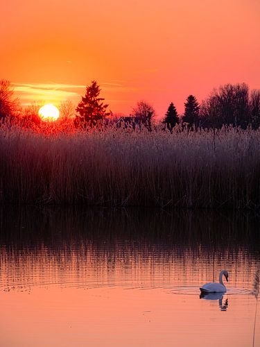 Sunset  Park Lingezegen Waterrijk