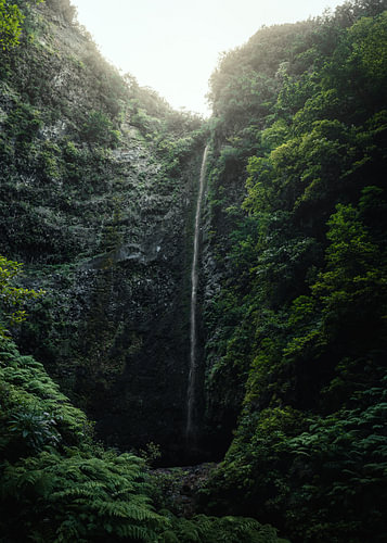 Madeira Caldeirão Verde