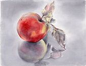 Roter Apfel und seine Spiegelung von Heidemuellerin Miniaturansicht