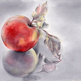 Rode appel en zijn weerspiegeling van Adriana Mueller