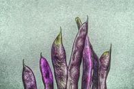 bean by artpictures.de thumbnail