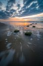 Moving Water van Peter Deschepper thumbnail