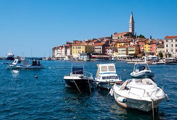 Old Town Rovinj City in Croatia by Animaflora PicsStock