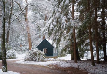 Winterse taferelen in Kroondomein het Loo voor een aantal uurtjes. we wilden net onze spullen pakken toen het begon te regenen. dat was een mooie winterse korte ochtend!! van Samantha Rorijs
