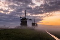 Leidschendam's Mühlentrio im Nebel