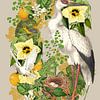 Geboorte in het Groen Collage van Behindthegray