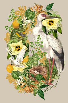Geboorte in het Groen Collage van Behindthegray