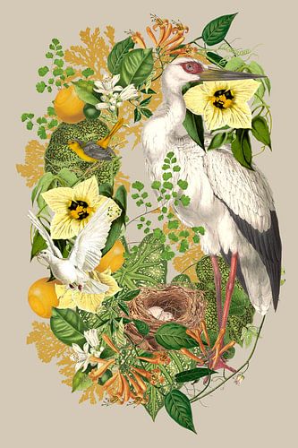Geboorte in het Groen Collage van Behindthegray