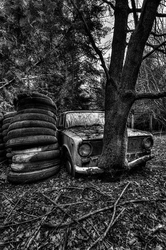Lost in the Woods 2
