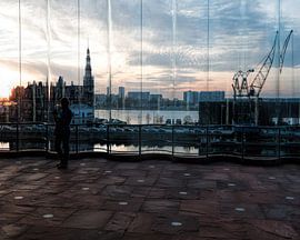 Museum aan de Stroom Antwerpen