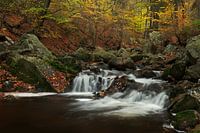 Watervalletje in La Hoëgne