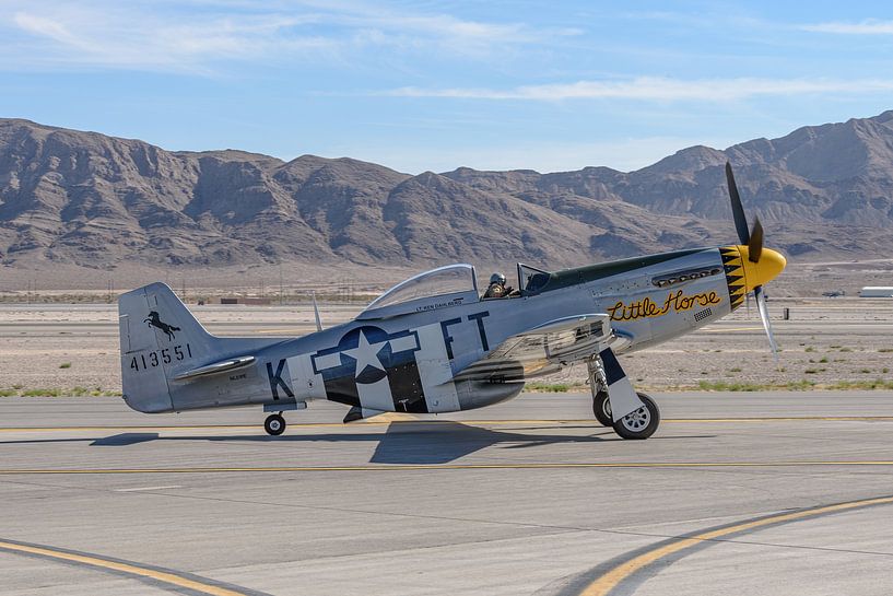 North American P-51D Mustang &quot;Little Horse&quot;. by Jaap van den Berg