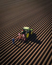 Tractor prepares field for sowing by Ewold Kooistra