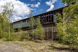 Alte Flugzeug-Montagehalle, zugewachsen mit Bäumen - Lost Place Alter Flugplatz Rangsdorf