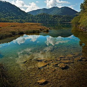 Am Ufer eines Alpensees (Weitsee)