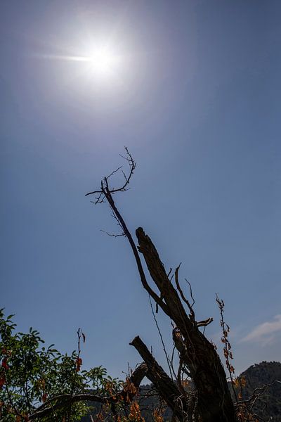 Heat by Bernd Friedel