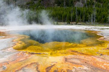 Kleurrijk Yellowstone Nationaal Park in Amerika van Linda Schouw