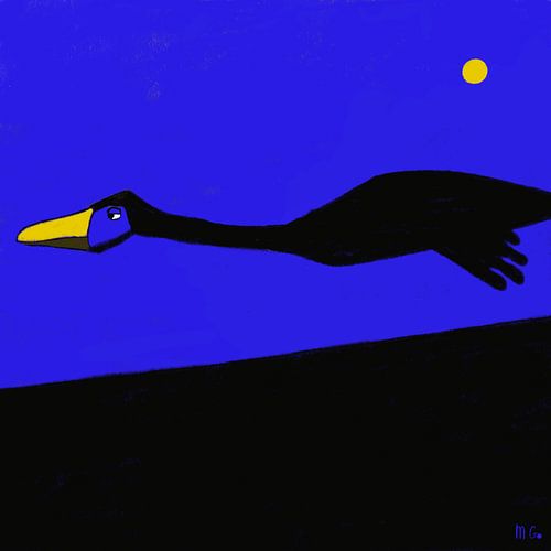 On the wing at night