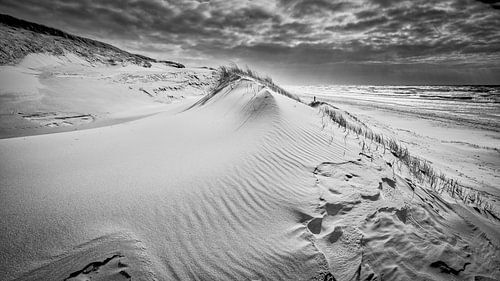 Black-and-white dune landscape on the North Sea coast by eric van der eijk