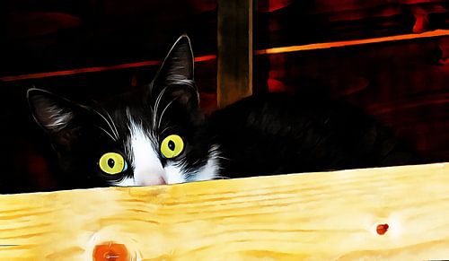 Wat bedoel je met geen muizen?