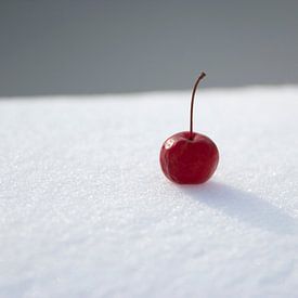 Wild appeltje eenzaam in de sneeuw van Jessalyn Nugteren