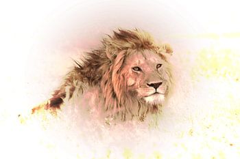 Majestätischer Löwe