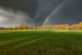 Rainbow with trees by Peter Beks