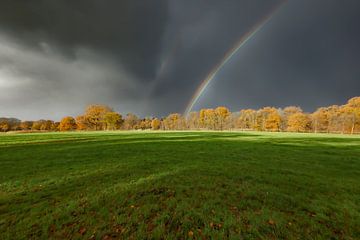 Regenboog met bomen van Peter Beks