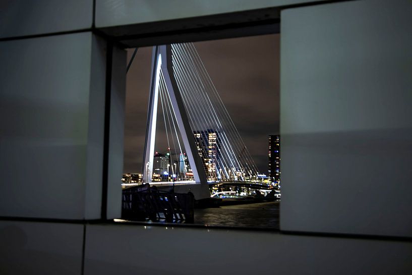 Abendbild Erasmusbrücke in Rotterdam von Eric de Jong