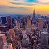 Ville de New York sur Roy Poots