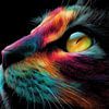 Kleurrijke kat gezicht close-up panorama van TheXclusive Art