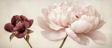 Schöne Pfingstrosen in Pastellfarben von Poster Art Shop