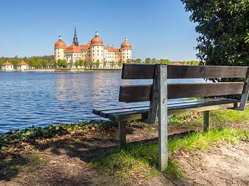 Blick auf das Schloss Moritzburg bei Dresden