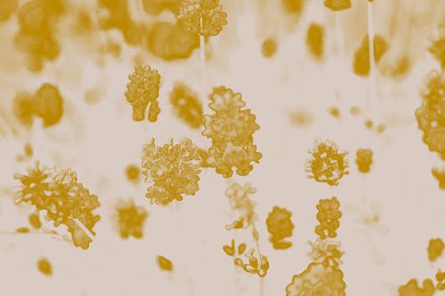 Lavendel in donkergeel en wit. Retro stijl.