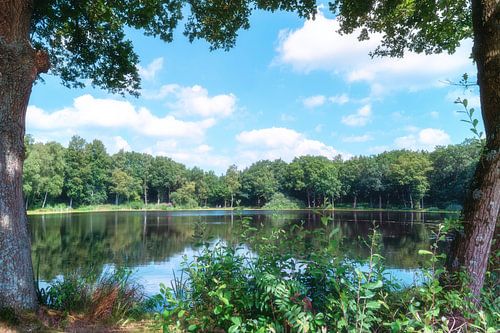 Doorkijkje Galgwanderveen_Braamsplas Eext