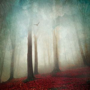 Forêt abstraite dans le brouillard