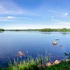 Panorama des Sees Hjortesjön von Leopold Brix