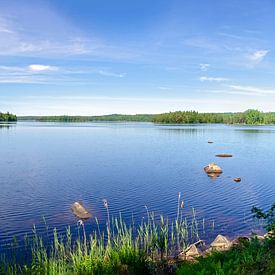 Panorama du lac Hjortesjön sur Leopold Brix
