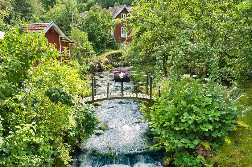 Fruit trees by a stream with a small bridge in front of a red wooden house in Sweden. by Martin Köbsch
