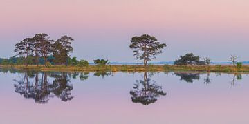 Panorama van Kraloo in het Nationale Park Dwingelderveld van Henk Meijer Photography