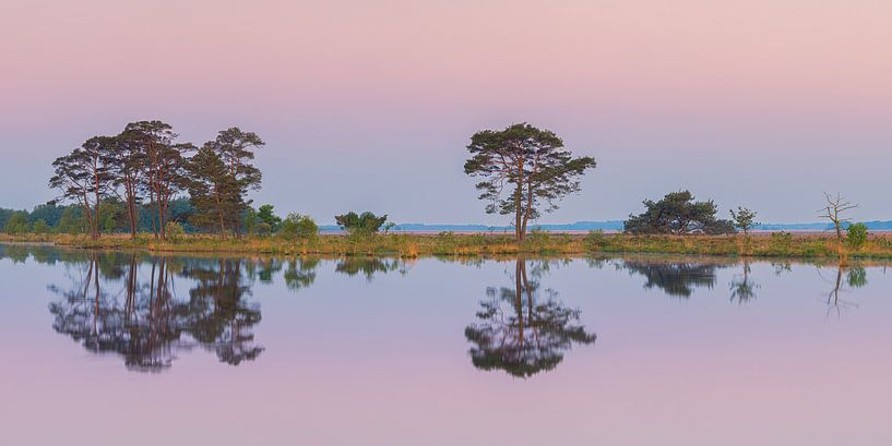 Panorama of Kraloo in the Dwingelderveld National Park by Henk Meijer Photography