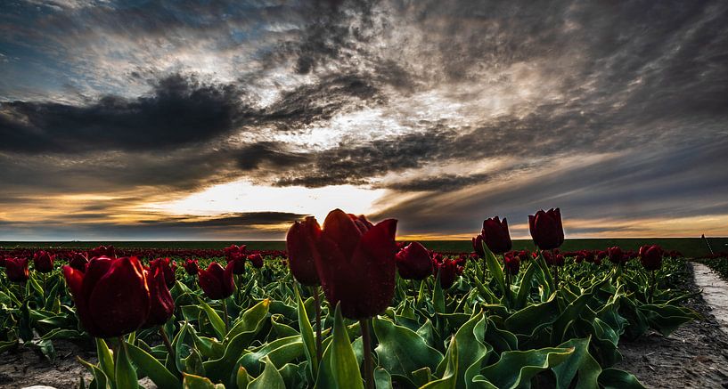 Menace par Jan Peter Nagel