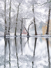 Winterstilte landgoed Oorsprong van Willemijn Wolthaus